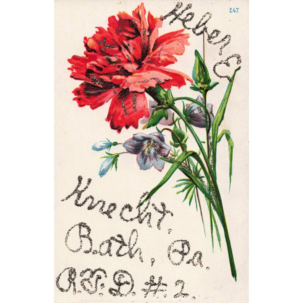 Bath Pennsylvania PA Antique Postcard Glitter Floral Red Carnation Helen Knecht